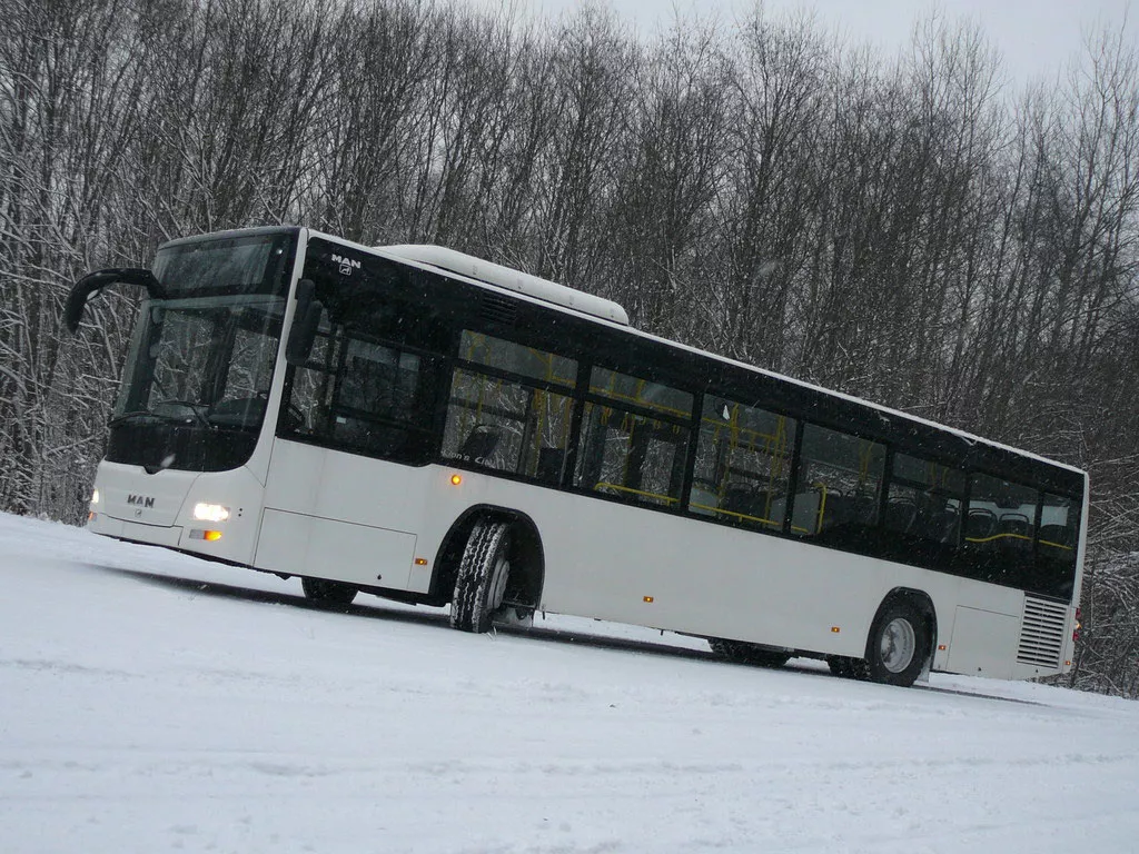 Аренда автобуса MAN (Ман) на 31 место в Москве